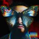 Crashing Down album art